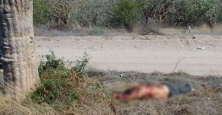 DE NUEVA CUENTA….Domingo de ejecuciones y de osamentas en La Paz DE NUEVA CUENTA….Domingo de ejecuciones y de osamentas en La Paz