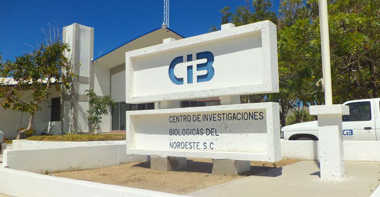 Convocan CIBNOR y CONACYT a jóvenes a participar en proyecto “CREA CIENCIA”