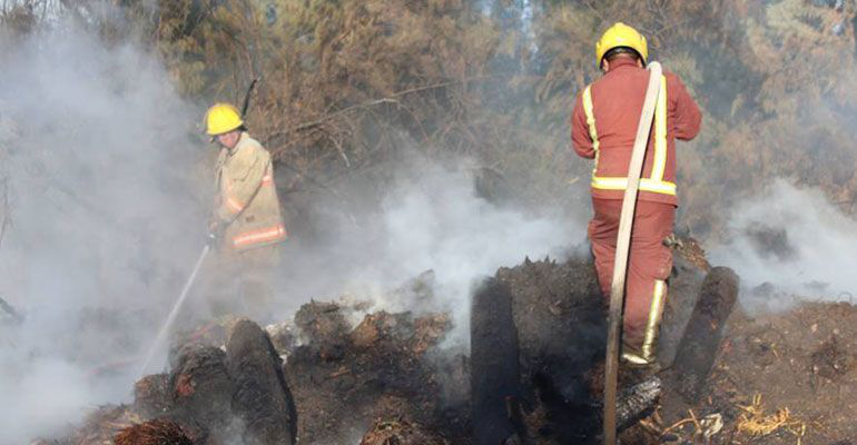 Denuncian ante Derechos Humanos violación a derechos de los niños 