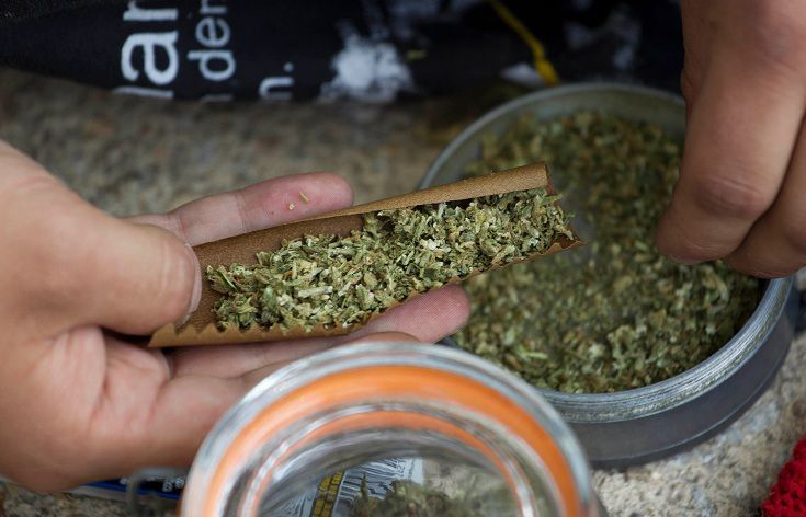 México, abierto a la legalización de mariguana México, abierto a la legalización de mariguana