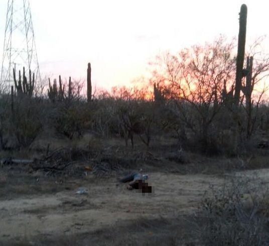 Localizan cadáver de una mujer en brecha por El Maurel, al parecer fue crimen pasional Localizan cadáver de una mujer en brecha por El Maurel, al parecer fue crimen pasional