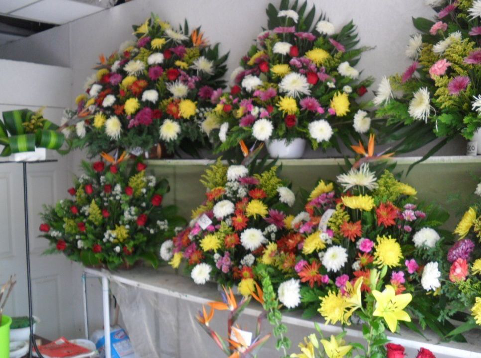 Esperan florerías incremento en ventas por el Día de Las Madres Diario El Independiente
