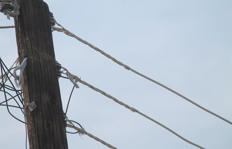 Continúan las quejas contra CFE por mal servicio; vecinos de Santa Rosa sufren apagones