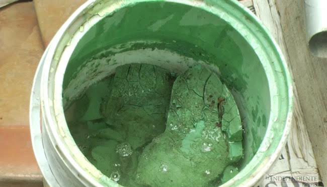 Alerta epidemiológica en Cabo San Lucas por chikungunya