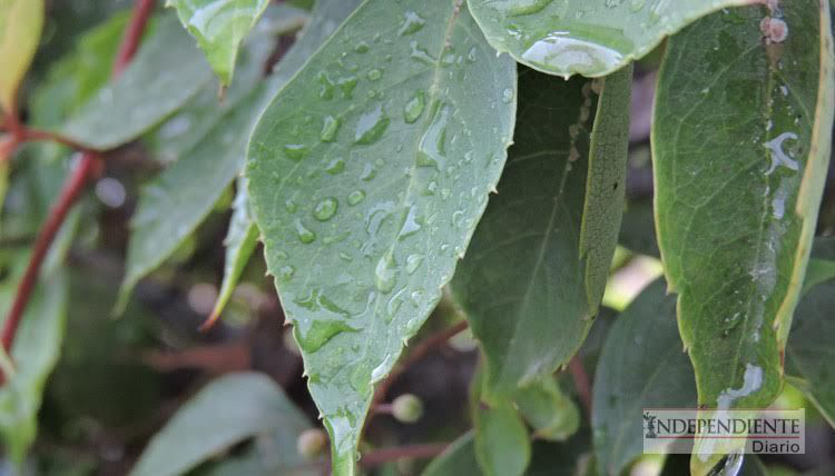 Continuarán cielos nublados, lluvias y mar de fondo