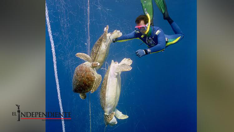 Reitera Estados Unidos amenaza de embargo pesquero contra México