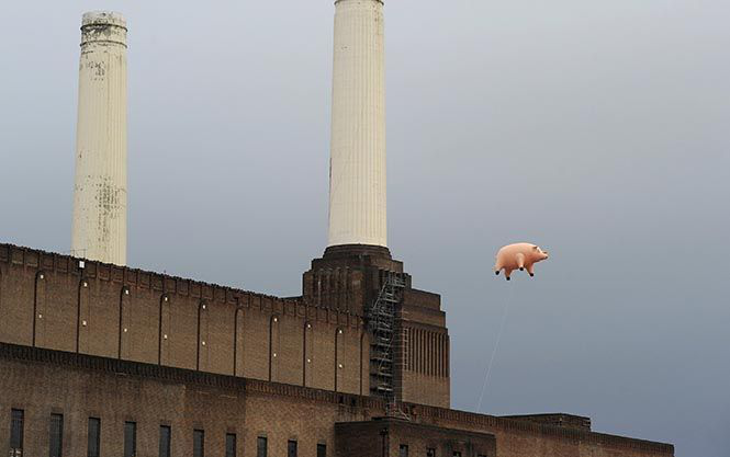 Pink Floyd recupera su famoso cerdo inflable de 'Animals'