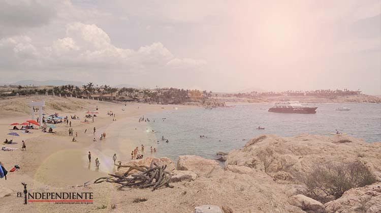 Confirma ZOFEMAT que Chileno no está contaminado