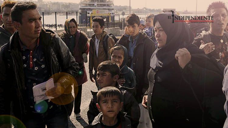 Emotivas historias de refugiados que huyen con sus mascotas Emotivas historias de refugiados que huyen con sus mascotas