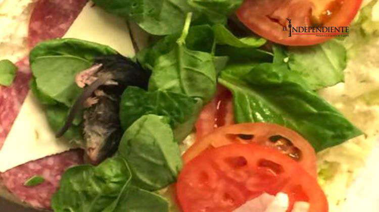 Rata húmeda y muerta aparece en un sándwich de espinacas con jitomate Rata húmeda y muerta aparece en un sándwich de espinacas con jitomate