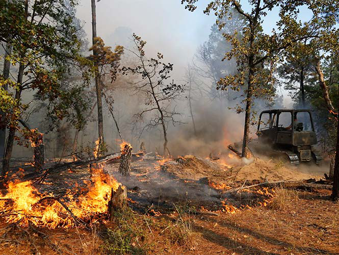 Declaran zona de desastre en Texas por fuerte incendio forestal