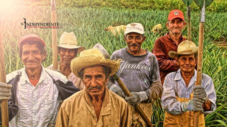 Los jornaleros agrícolas son los que más demandan justicia laboral CEDH