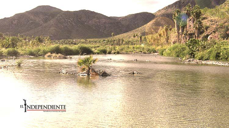 Revisa y ajusta la CONAGUA Plan Hídrico Estatal de BCS Revisa y ajusta la CONAGUA Plan Hídrico Estatal de BCS