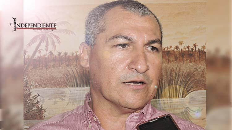 Hidroponia Caduaño, un proyecto sustentable con muchas probabilidades de éxito Hidroponia Caduaño, un proyecto sustentable con muchas probabilidades de éxito