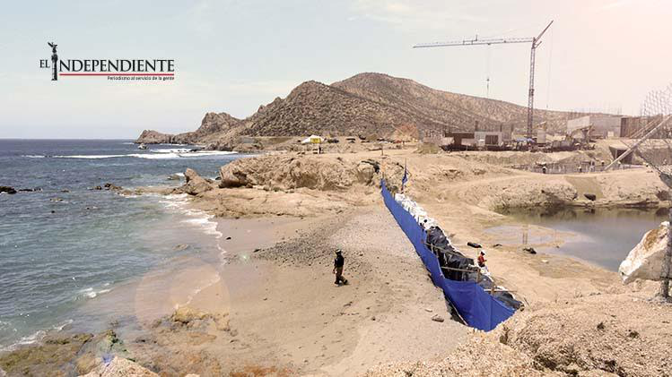 Proceso correctivo de Playa Chileno costó más de 1mdd Proceso correctivo de Playa Chileno costó más de 1mdd