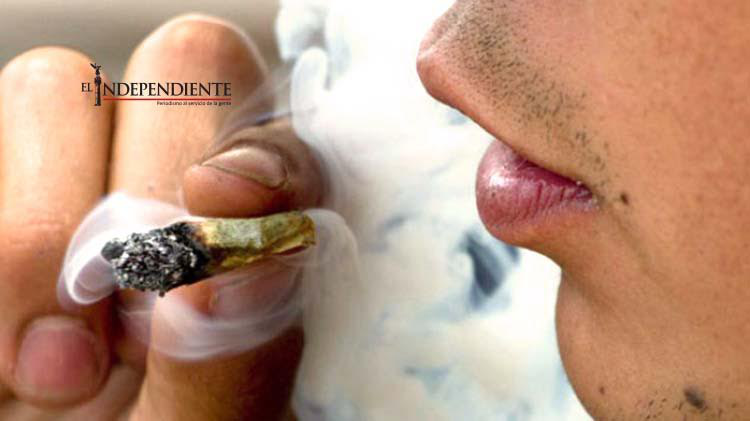 Opiniones a favor y en contra tras aprobación de uso recreativo de la marihuana Opiniones a favor y en contra tras aprobación de uso recreativo de la marihuana