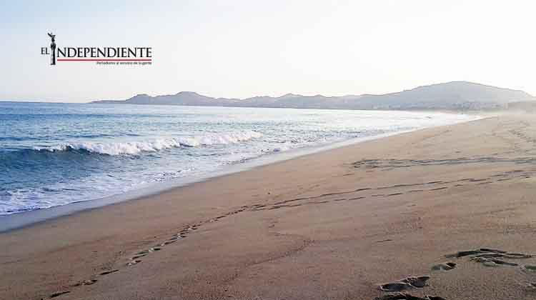 Desconoce ZOFEMAT que en Los Cabos existan playas cerradas Desconoce ZOFEMAT que en Los Cabos existan playas cerradas