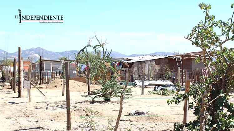 Alrededor de 300 familias se han detectado en la invasión Nueva Esperanza de SJC Alrededor de 300 familias se han detectado en la invasión Nueva Esperanza de SJC