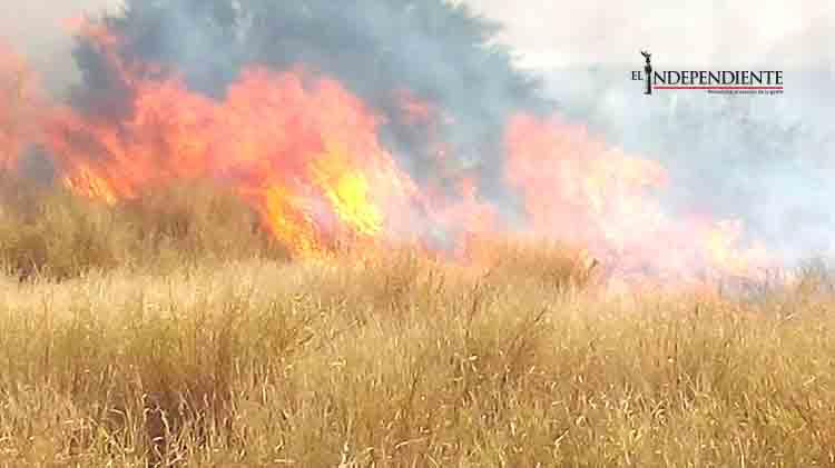 Incendios de pastizales y volcaduras en carretera: recuento de la tarde de ayer Incendios de pastizales y volcaduras en carretera: recuento de la tarde de ayer