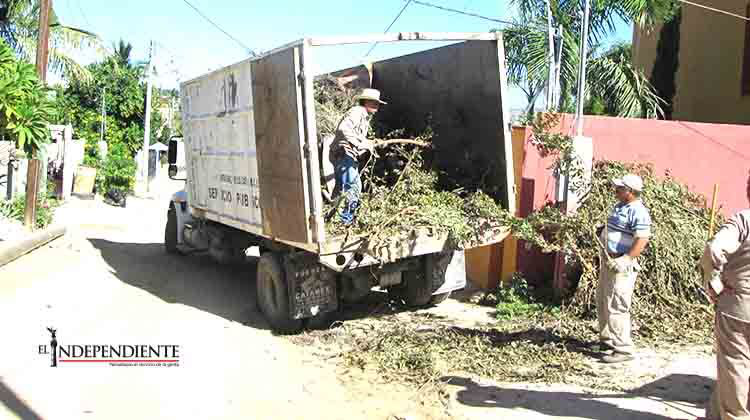Realiza Servicios Públicos campaña de la limpieza de ramas en todo el municipio Realiza Servicios Públicos campaña de la limpieza de ramas en todo el municipio