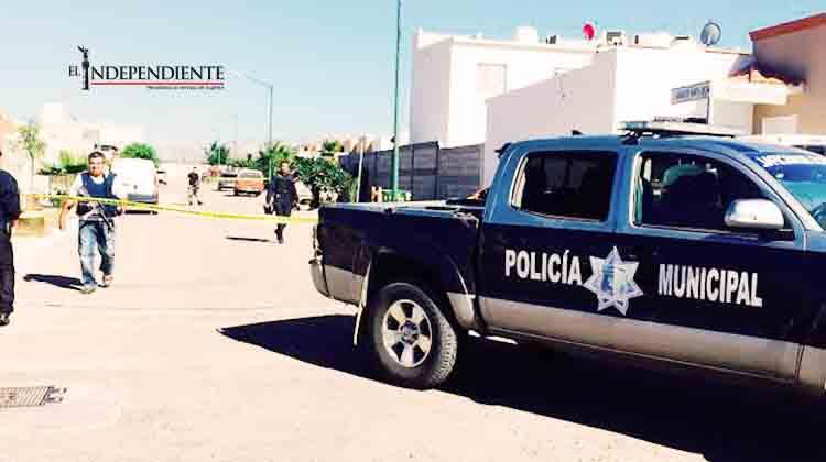 Ejecutado en Península Sur tenía antecedentes por narco menudeo Ejecutado en Península Sur tenía antecedentes por narco menudeo