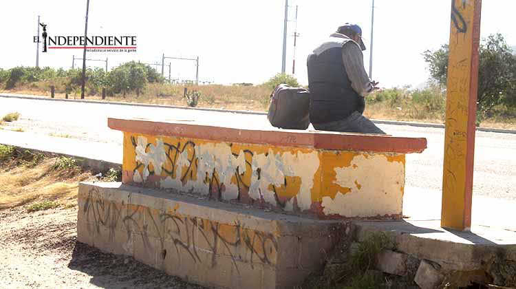 En malas condiciones paraderos del transporte público de SJC En malas condiciones paraderos del transporte público de SJC