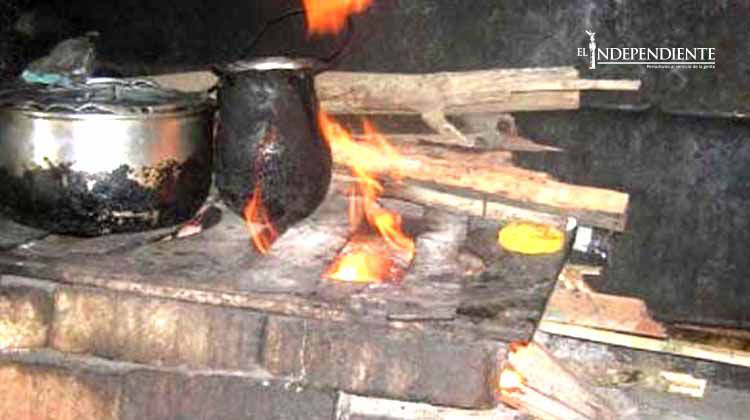 Emiten recomendaciones para evitar intoxicaciones Emiten recomendaciones para evitar intoxicaciones