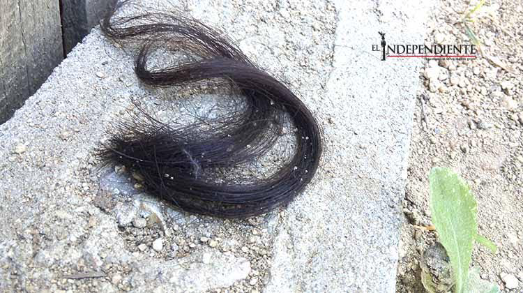 Ladrones golpean a una mujer para robar en su casa