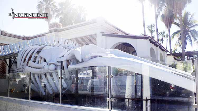 A finales de febrero abrirá sus puertas el Museo de la Ballena de La Paz