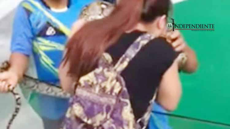 Turista china es mordida en la cara por pitón