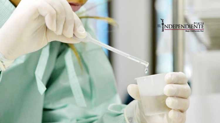 Farmacéutica francesa desarrollará vacuna contra virus zika