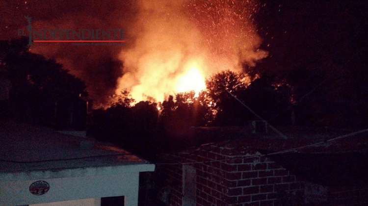 ¡Otra vez! incendio arrasa con palmares en la comunidad de Santiago