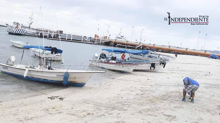 Confían prestadores de servicios turísticos en una pronta solución  ante los acosos de PROFEPA