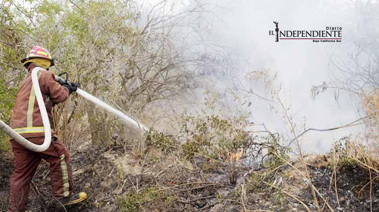 Incendio de pastizal se sale de control y amenaza con alcanzar un domicilio Incendio de pastizal se sale de control y amenaza con alcanzar un domicilio