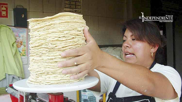 De manera “silenciosa” aumentó el precio de la tortilla, de 14 a 15 pesos y amenaza llegar hasta 16 De manera “silenciosa” aumentó el precio de la tortilla, de 14 a 15 pesos y amenaza llegar hasta 16