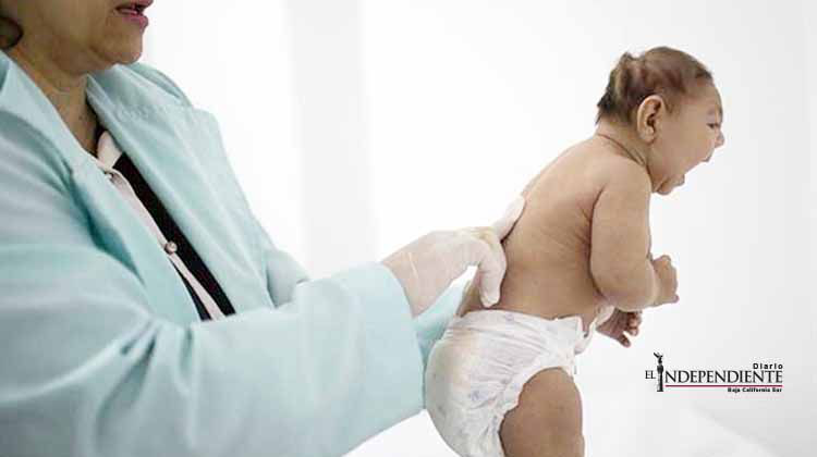 Papa aprueba uso de anticonceptivos para combatir efectos del zika