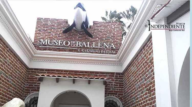 Museo de la ballena en La Paz vendrá a ser el complemento ideal a la experiencia de todos