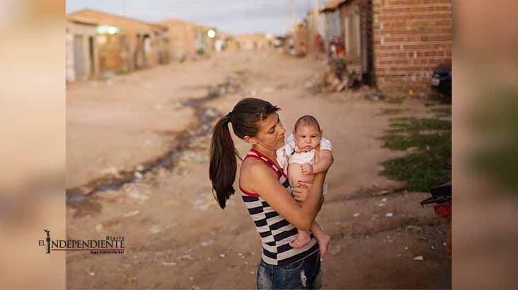 Zika podría causar peores deficiencias además de microcefalia Zika podría causar peores deficiencias además de microcefalia