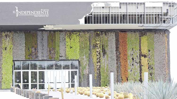 SECTURE elabora licitación para entregar el CIC de Los Cabos