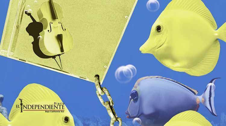 El disco clásico y cultural se encuentra en crisis