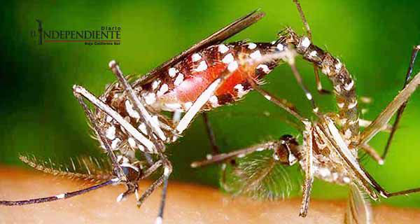 Corea del Sur reporta el primer caso de zika Corea del Sur reporta el primer caso de zika