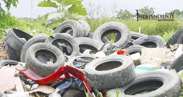 Exhorta DIF a mantener limpios patios para evitar proliferación de moscos del dengue, zika y chikungunya