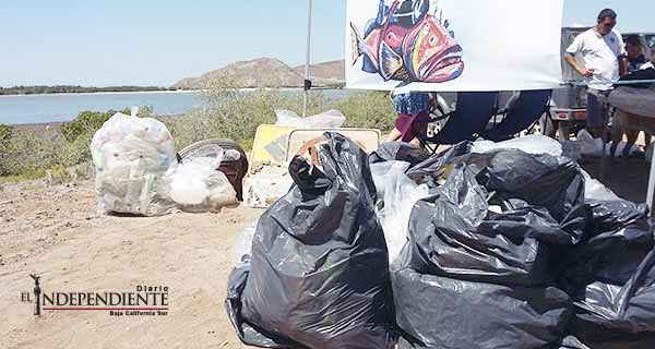 Ciudadanía organizada ha realizado 9 limpiezas en manglares de BCS
