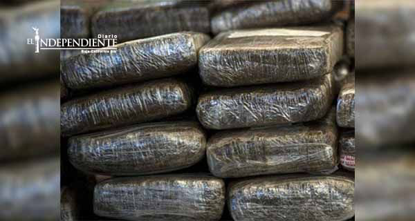 Rayos X detectan una tonelada de mariguana en puerto fronterizo Rayos X detectan una tonelada de mariguana en puerto fronterizo