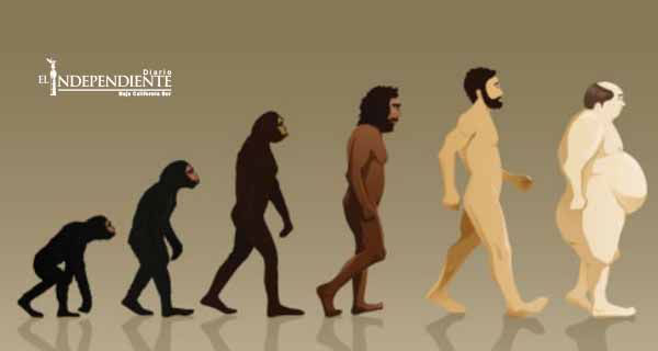 Diabetes, sería producto de la evolución humana Diabetes, sería producto de la evolución humana