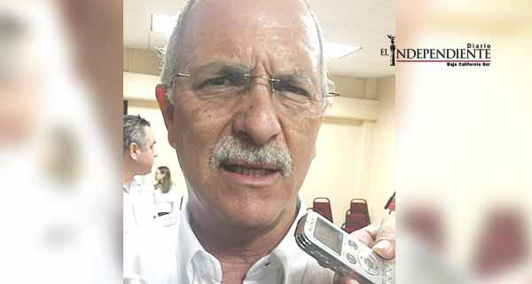 No ha crecido población de lobos marinos: CONANP No ha crecido población de lobos marinos: CONANP
