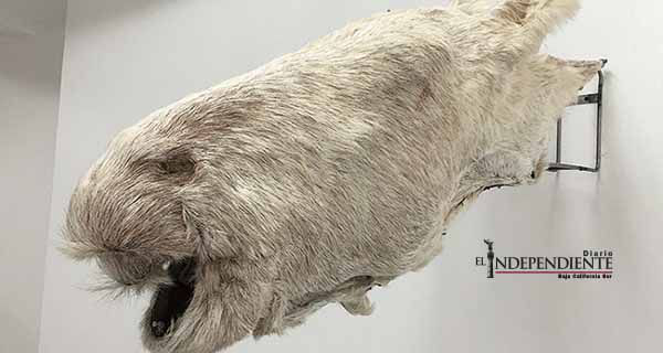 Lo poético va hacia lo social en la exposición 'Gravedad' Lo poético va hacia lo social en la exposición 'Gravedad'