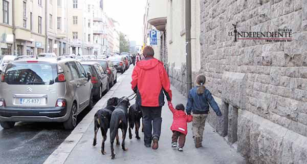Madrid advierte a dueños de mascotas: si no limpian heces, tendrán que barrer calles Madrid advierte a dueños de mascotas: si no limpian heces, tendrán que barrer calles
