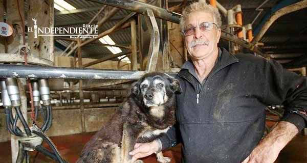 Muere el perro más viejo del mundo a los 30 años Muere el perro más viejo del mundo a los 30 años