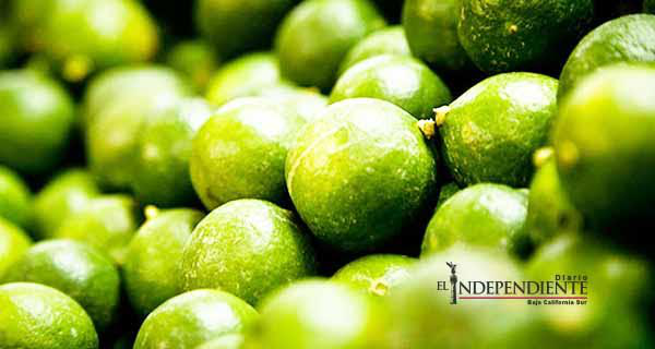 Garantiza SAGARPA se estabilizará el precio de limón que ha subido hasta 50 pesos kg